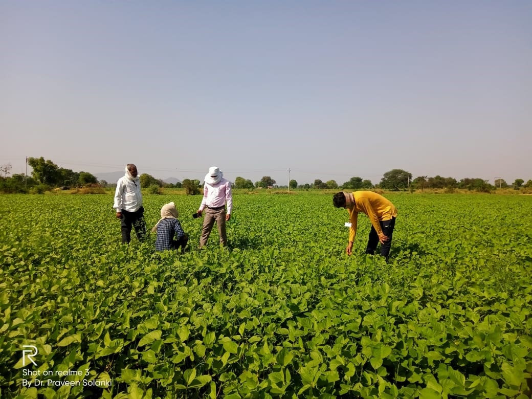 Chemical Free/Natural Farming
